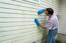 Best Siding Painting and Refinishing  in Kernersville, NC